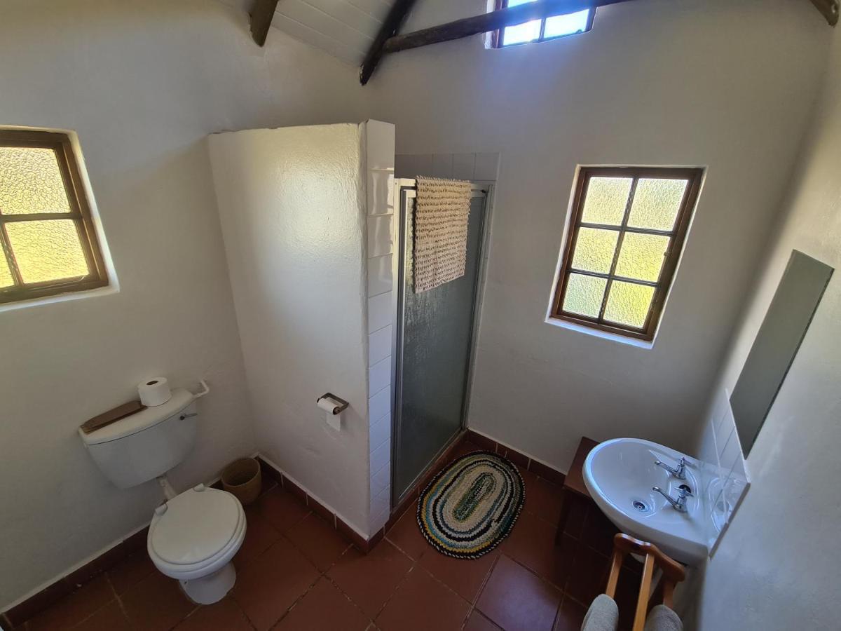 Bed and Breakfast Tower Of Pizza Ethels Drive Exteriér fotografie